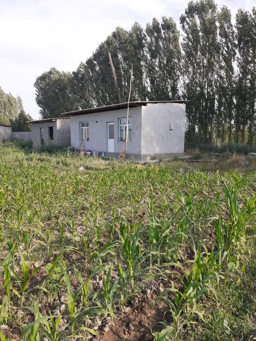 12 sotik Er uy joy uchaska sotiladi. Kadastr xujjatlari bor.