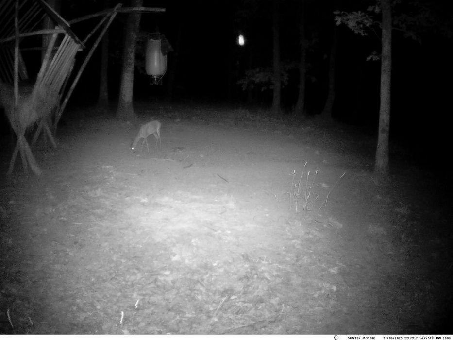 Camere vanatoare,supraveghere Live 4G ,120 mp 4k fara adresa  e-mail