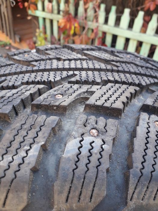 Зимние   Шины на прадик 150