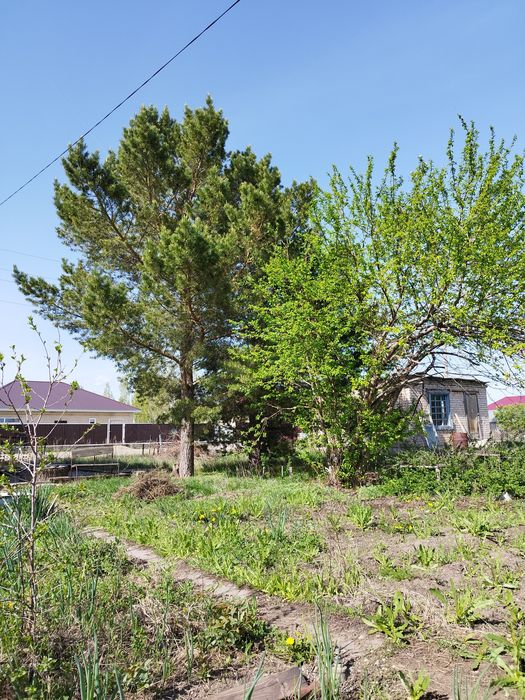 Продам дачу Акжар-2