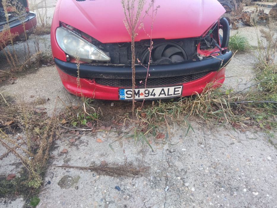 Aripa dreapta rosie Peugeot206