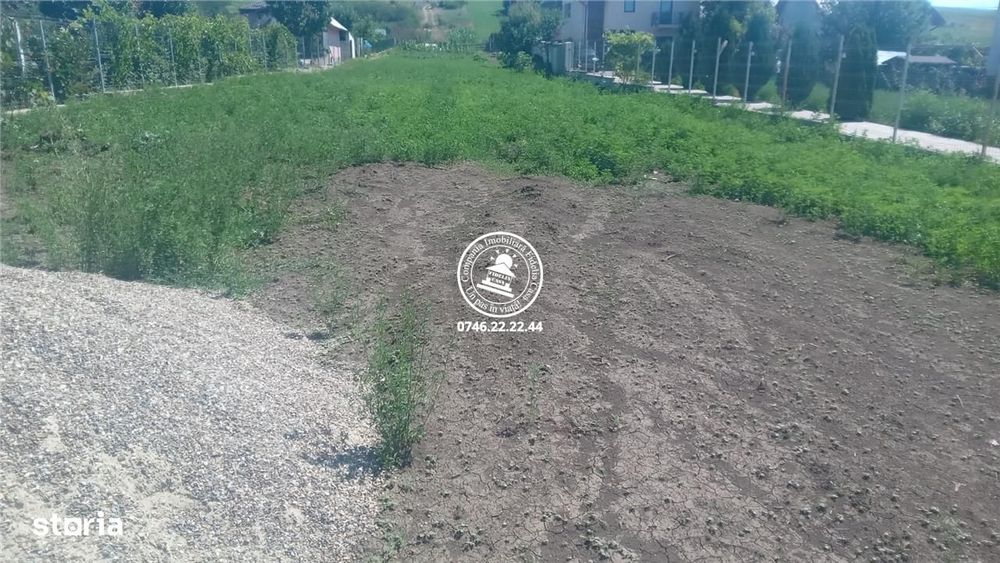 Teren pentru constructii case  de vanzare Iasi, Bogonos,