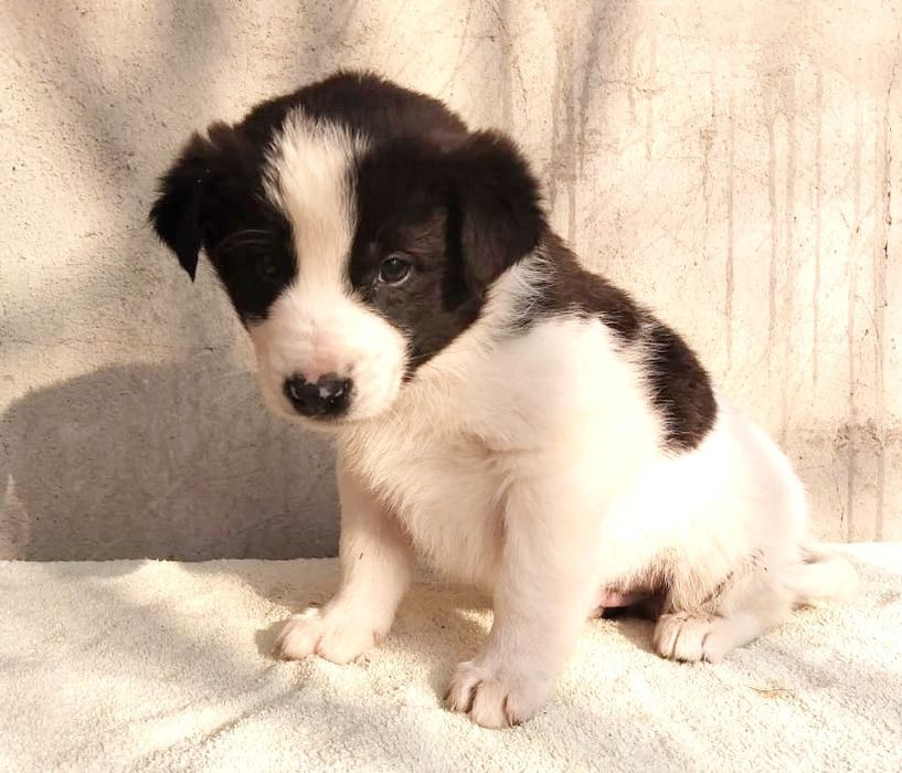 Не проходите мимо подарите дом бездомным