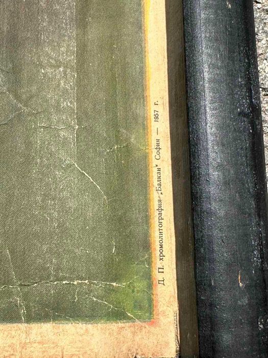 Соц Учебни Плакати Постери Биология