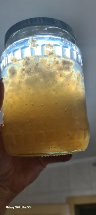 Kefir de apa ,Cristale japoneze ze