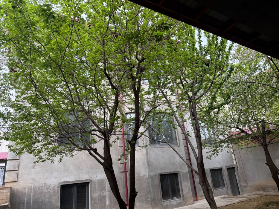 Угловой дом 6 соток, отличная локация