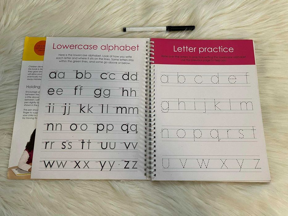 Carte Wipe and Clean first 100 words, in limba engleza