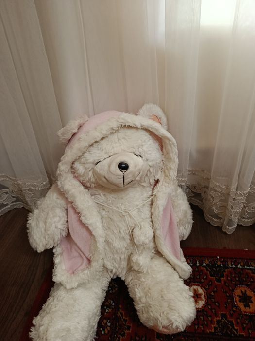 Yaponski oq teddy
