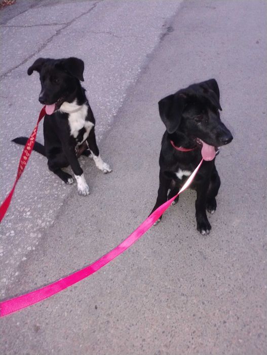 ДОМ за Миа София