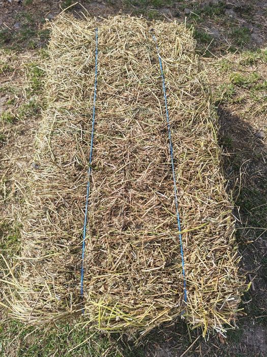 Baloți fân, lucernă