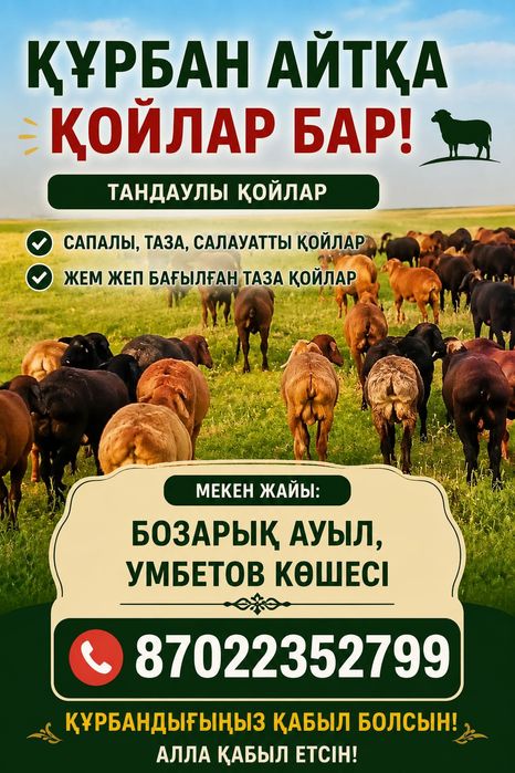 Кой кошкар семиз
