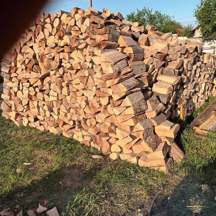 Lemne de foc fag capete uscate 600 lei tona