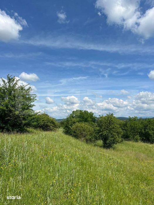 Teren Extravilan de vanzare 3000 m - zona Viisoara