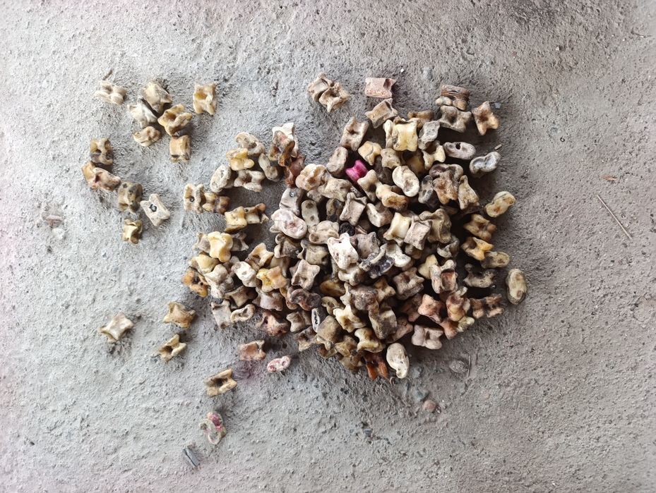 продам асыки , разные размеры