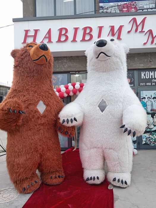 Ayiqlar xizmati barcha viloyat boylab