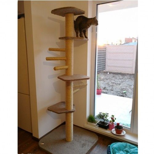 Jucarii pentru pisici