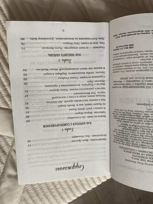 Книга «Куриный Бульон»