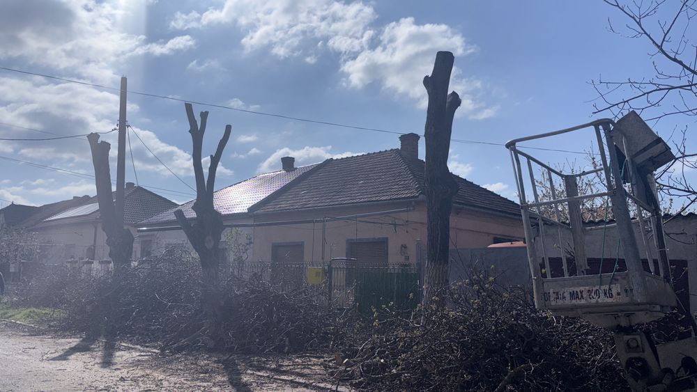 Închiriez nacele și Prb   jgheaburi  burlane. Tencuială.  Tăieri copacii gazoane    Pun  țepi porumbei etc