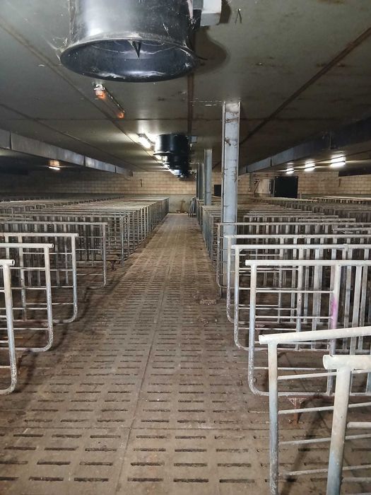 Boxe pentru fătare și furajare de vânzare