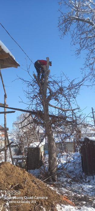 Спил деревьев от 10000тг