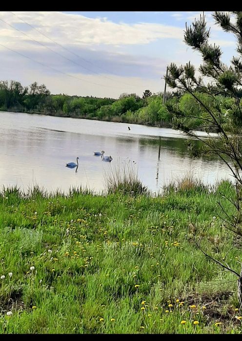 Продам дачу общество ,,Легенда,, оз.Пёстрое