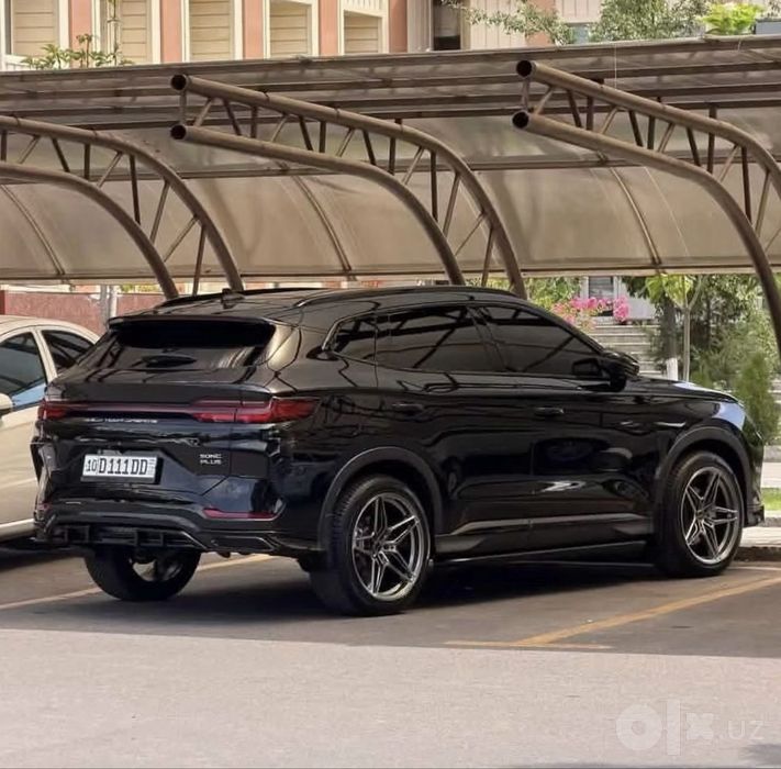 Byd champion 150