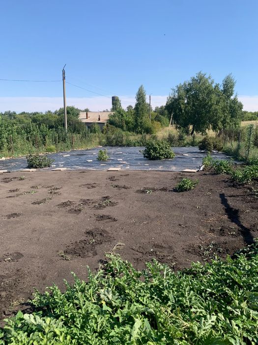 Продам участок Приишимка