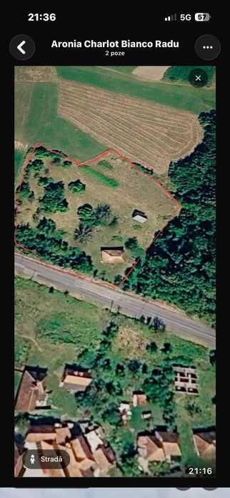 Casă 104 mp + 9.000 mp teren + grajd din stejar – Vârfurile, Arad