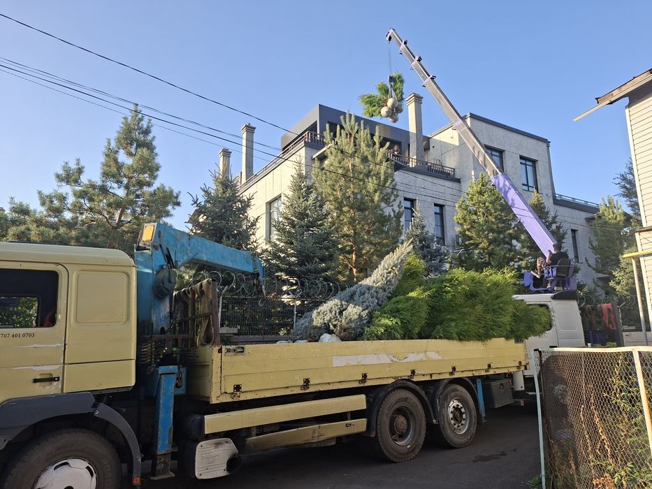 Услуги манипулятора 24/7