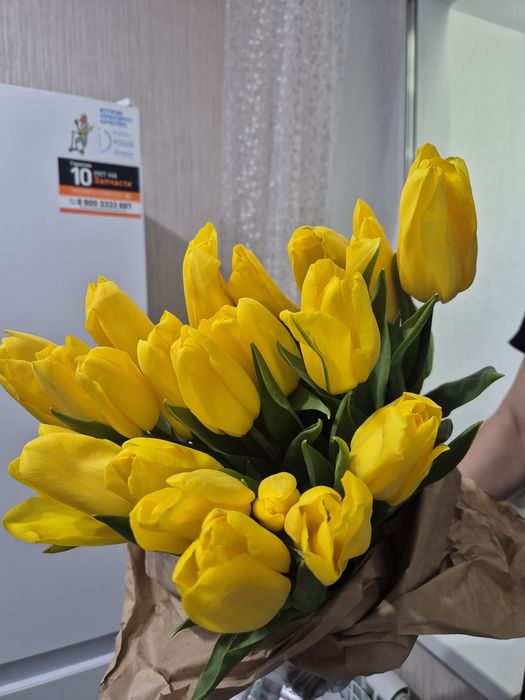 Тюльпаны оптовым и розницым ценам