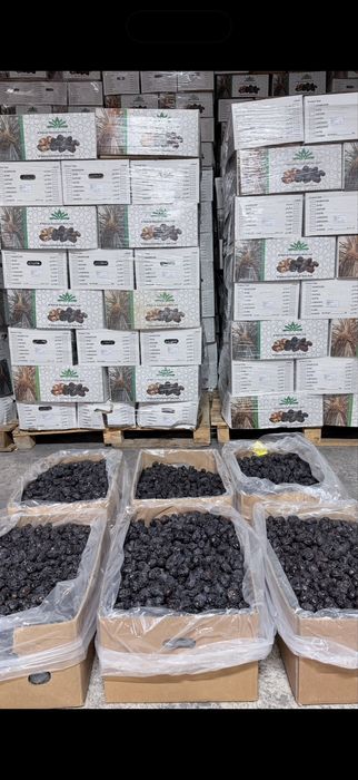 Курма, финики, рамадан