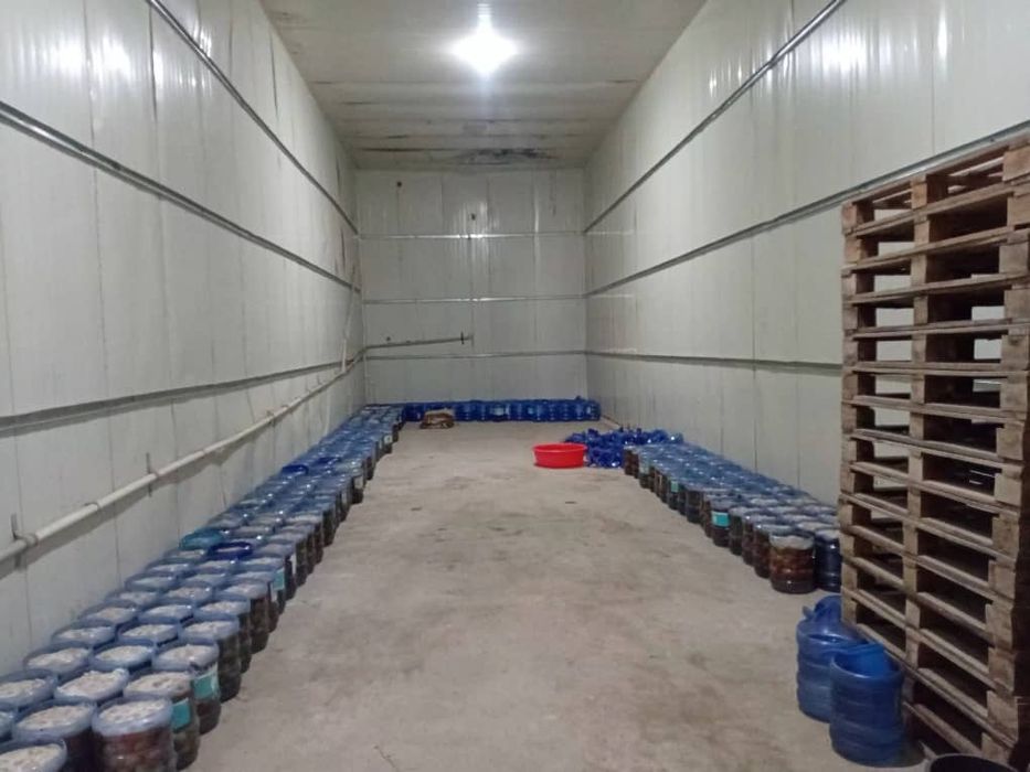 Аренда холодильных камер и зданий