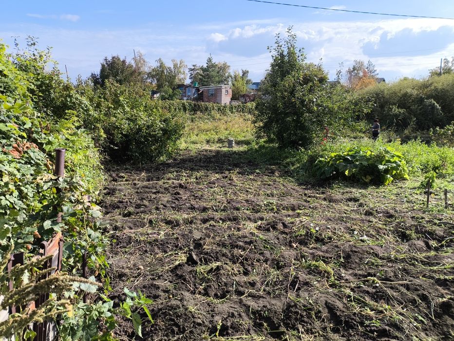 Дачу продам в хорошем состоянии