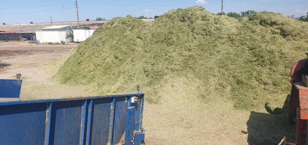 Mix furajer/siloz  fermentat lucerna+triticale+rapițta — Spring-Matrix