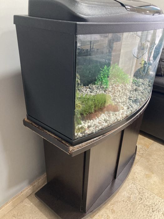 Аквариум  90л  оборудван