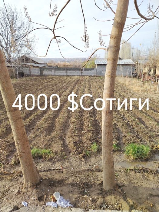 Участка йэр 6 сотик