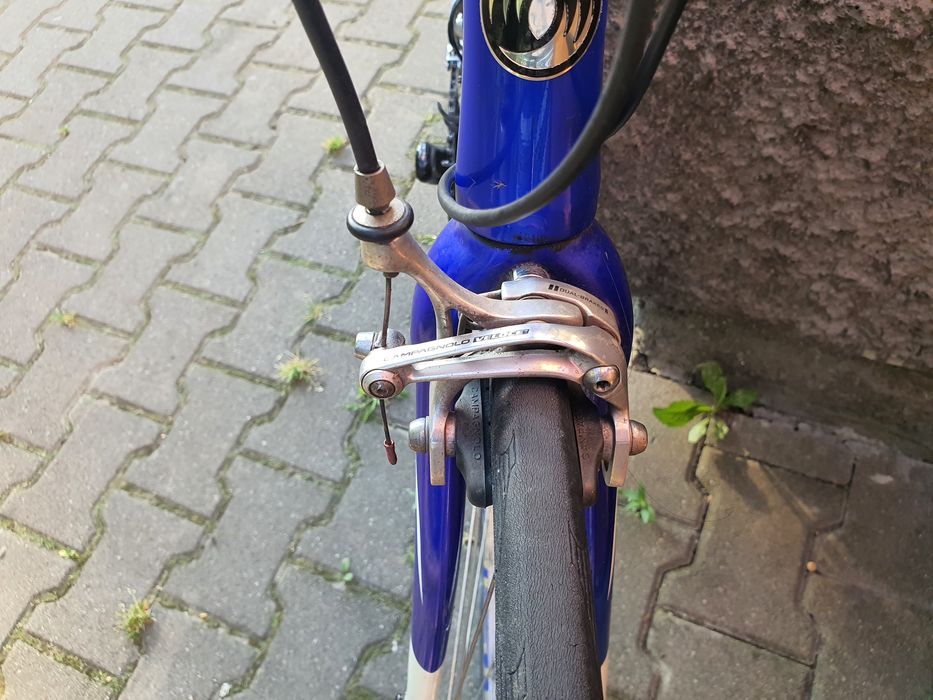 Cursiera Opera Exlusive Design by Pinarello