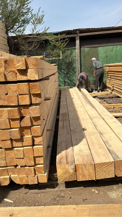 Башкирский Агаш-Лес!