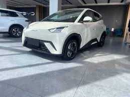 Byd seagull naqd va halol nasiya