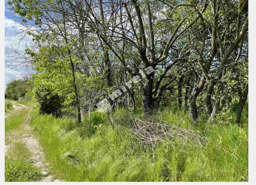 Продава се Парцел в Велико Търново, Акация - 1950 кв.м за 6 €/кв.м - Снимка #1