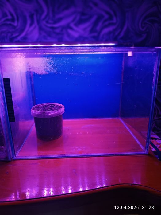 Продам аквариумы