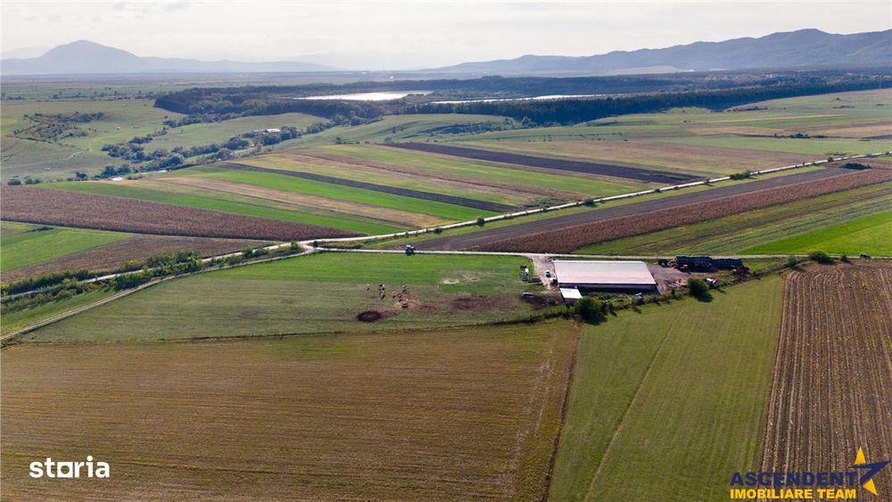 FILM! Zona extinsa, teren mixt,18.000 mp, ideal agro-investitii, Rotba