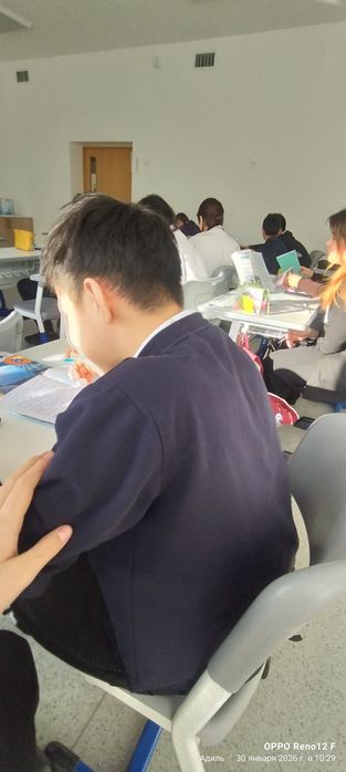 Продаю хомяка породестый