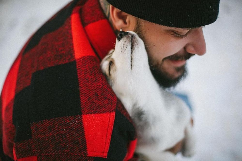 Срочно продам щенят