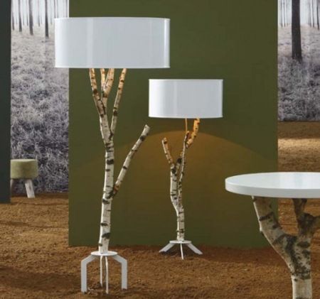 Mesteacan decorativ , busteni de mesteacan , lemn felii, trunchi