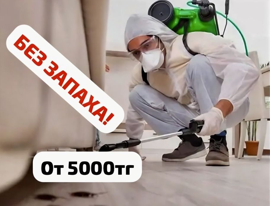Избавлю от тараканов и клопов за 1 визит. Гарантия 1 год