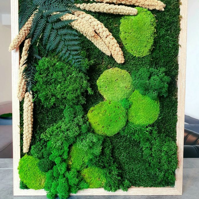 Tablou Licheni mușchi si plante