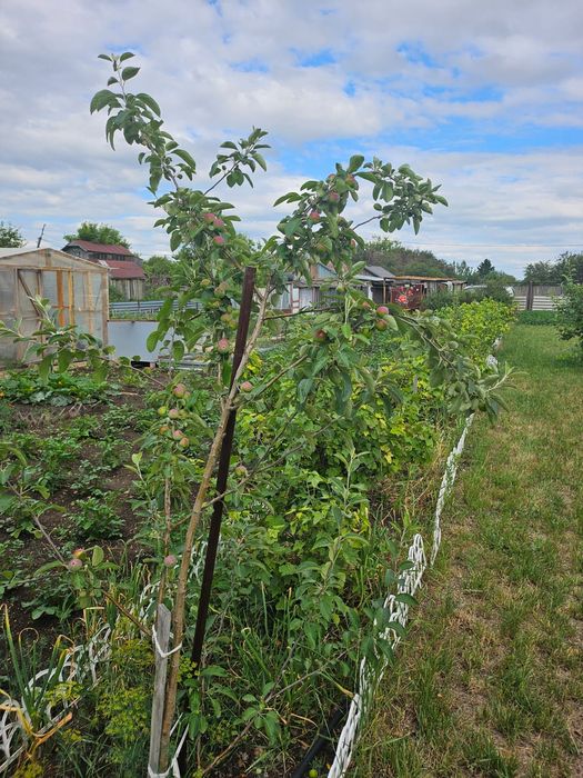 Дача по Красноярской трассе