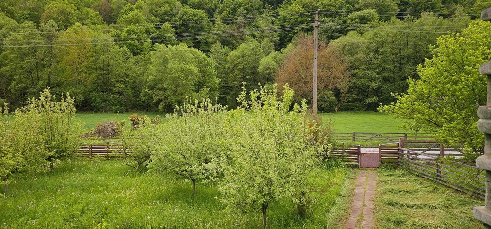 Casă cu livadă și râu – Almașu Mare