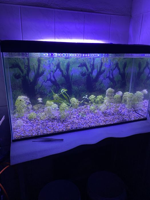 Аквариум 70литров